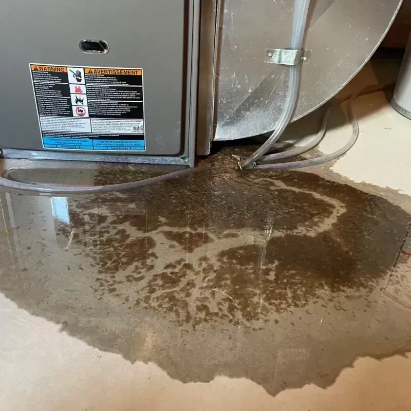 Appliance Leak Cleanup in Caney, KS